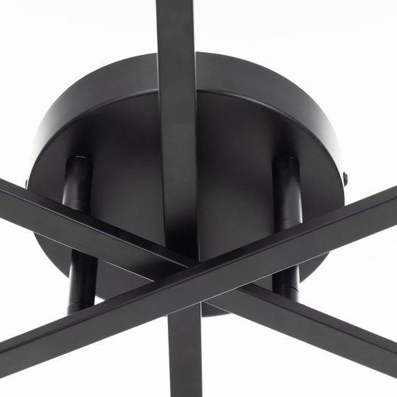 Потолочная люстра Citilux Glob CL209261