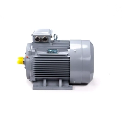 Электродвигатель ESQ PR 355 S4 GST-Б1-S32-IE2 250/1500 IM1001