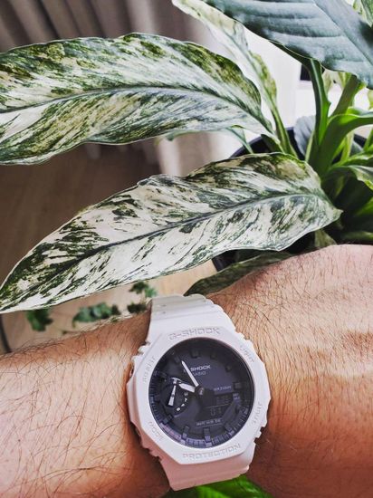 Часы мужские Casio G-Shock GA-2100-7AER