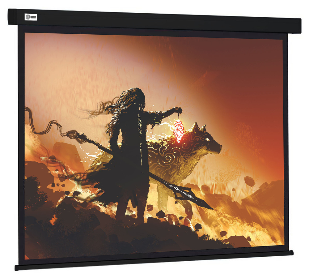 Экран  Cactus CS-PSW-149X265-BK