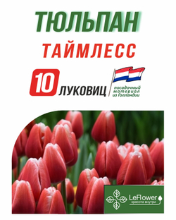 Тюльпан Луковица, Таймлесс, 10шт