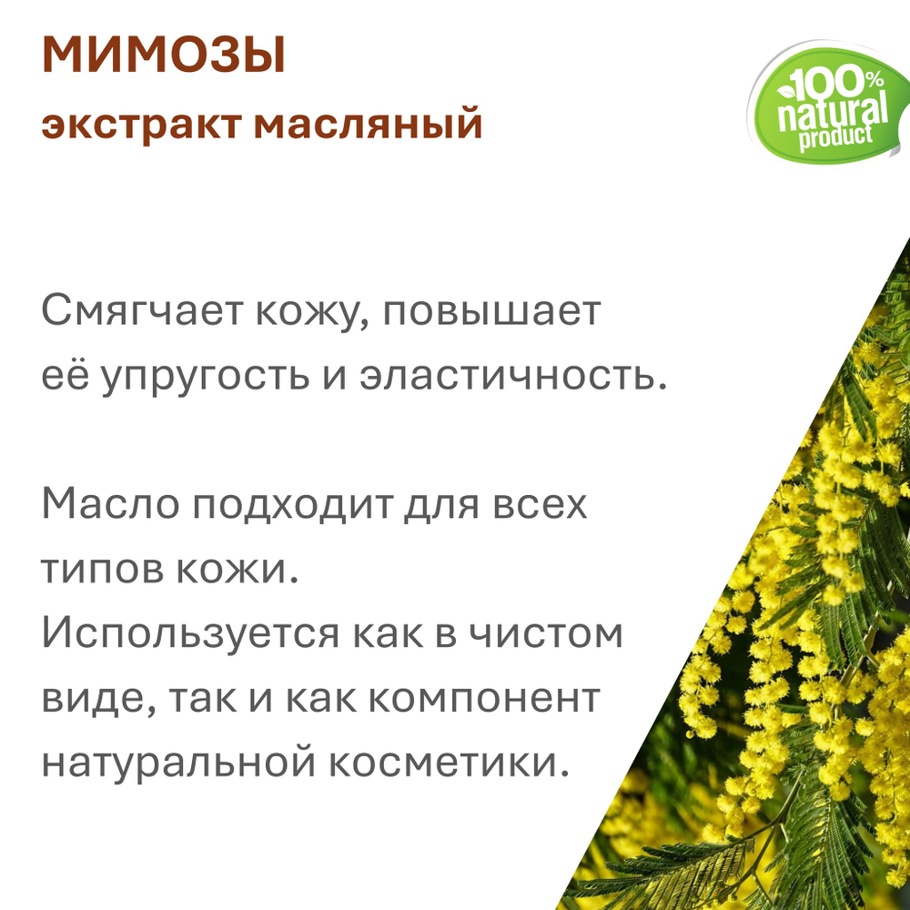 Экстракт мимозы, масляный