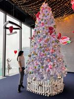 Большая белая елка «Рублевская Сосна» (белая леска) от 3 до 8 м