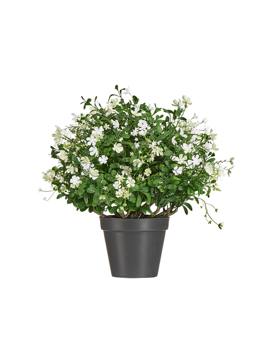 Альпийское разнотравье куст Средний белый в-47 см, д-47 см 4/12 20.0224072WH-M