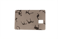 Наклейка на банковскую карту «Петроглифы Карелии»