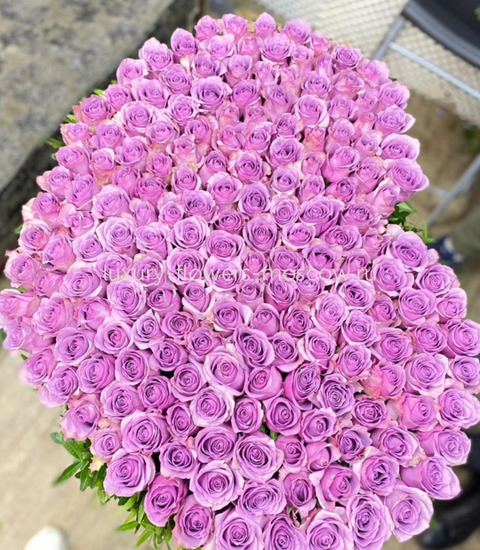 201 роза сердцем кения 5