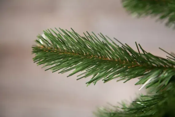 Елка Санкт-Петербург 155 см., мягкая хвоя, Triumph Tree (73579)
