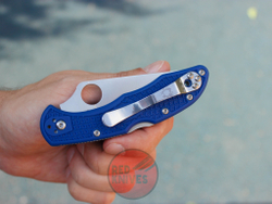 Нож Spyderco Delica BLU C11FBLM