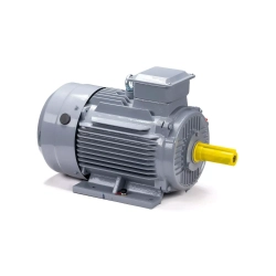 Электродвигатель ESQ PR 132 M4 GST-Б3-S12-IE2 230/400V 11/1500 IM1081
