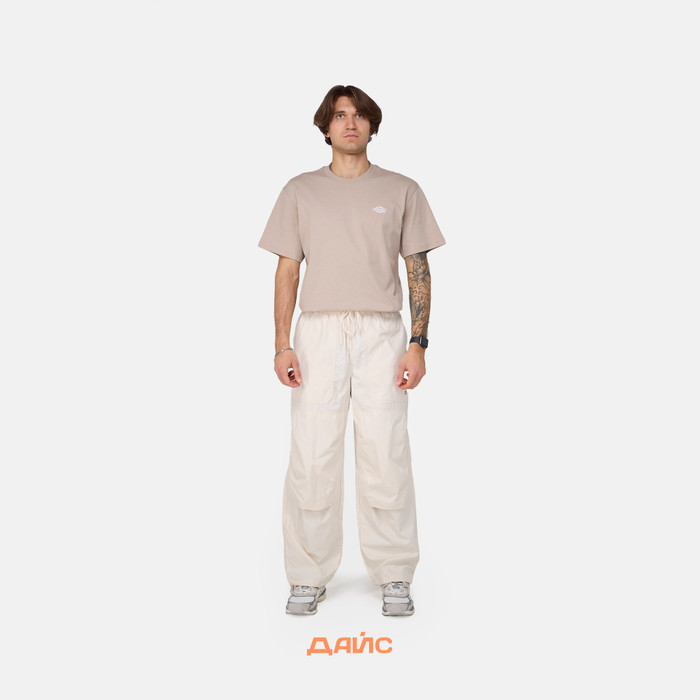 Брюки мужские Dickies Fishersville Pant артикул:DK0A4YSDF901 - купить в магазине Дайс