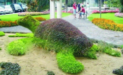 Топиарная фигура Морская черепаха