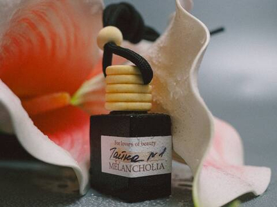 Автодиффузор «Тайна №1»