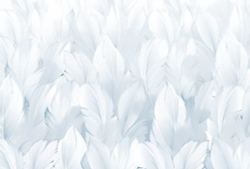 Коллекция Levity