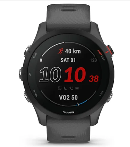 Умные часы Garmin Forerunner 255 Темно Серый