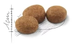 Royal Canin Sterilised Сухой корм для стерилизованных кошек, 1,2 кг
