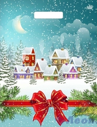 Пакет ВУР 31*40см НГ 60 мкм Снежный город 1шт