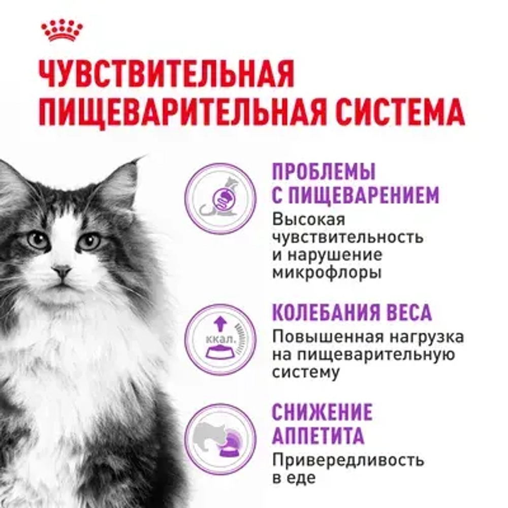 ROYAL CANIN (Роял Канин) Sensible Корм сухой сбалансированный для взрослых кошек с чувствительной пищеварительной системой, 1,2 кг