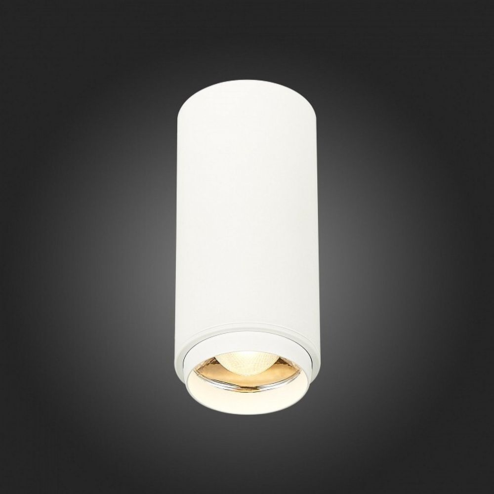 Накладной светильник ST-Luce Zoom ST600.532.10