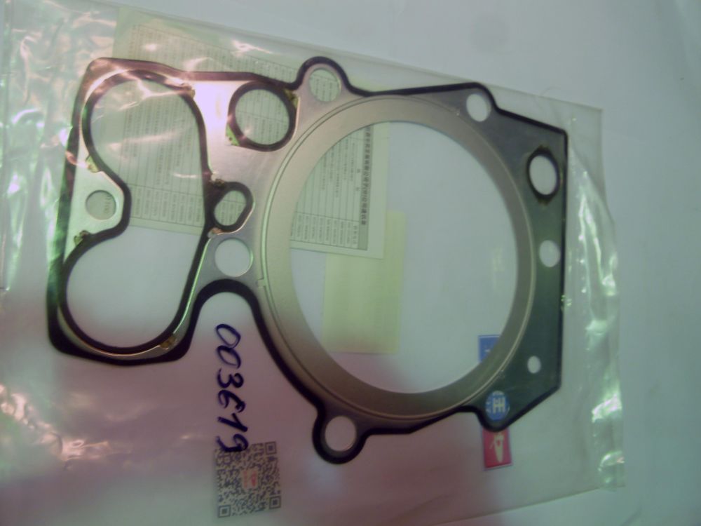 Прокладка головки блока цилиндров TDY 441 6LT/Cylinder head gasket