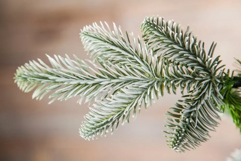 Елка Нормандия пушистая заснеженная 185 см., литая хвоя+пвх, Triumph Tree (73531)