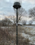 РЭБ «Капюшон» К-12 в форме купола