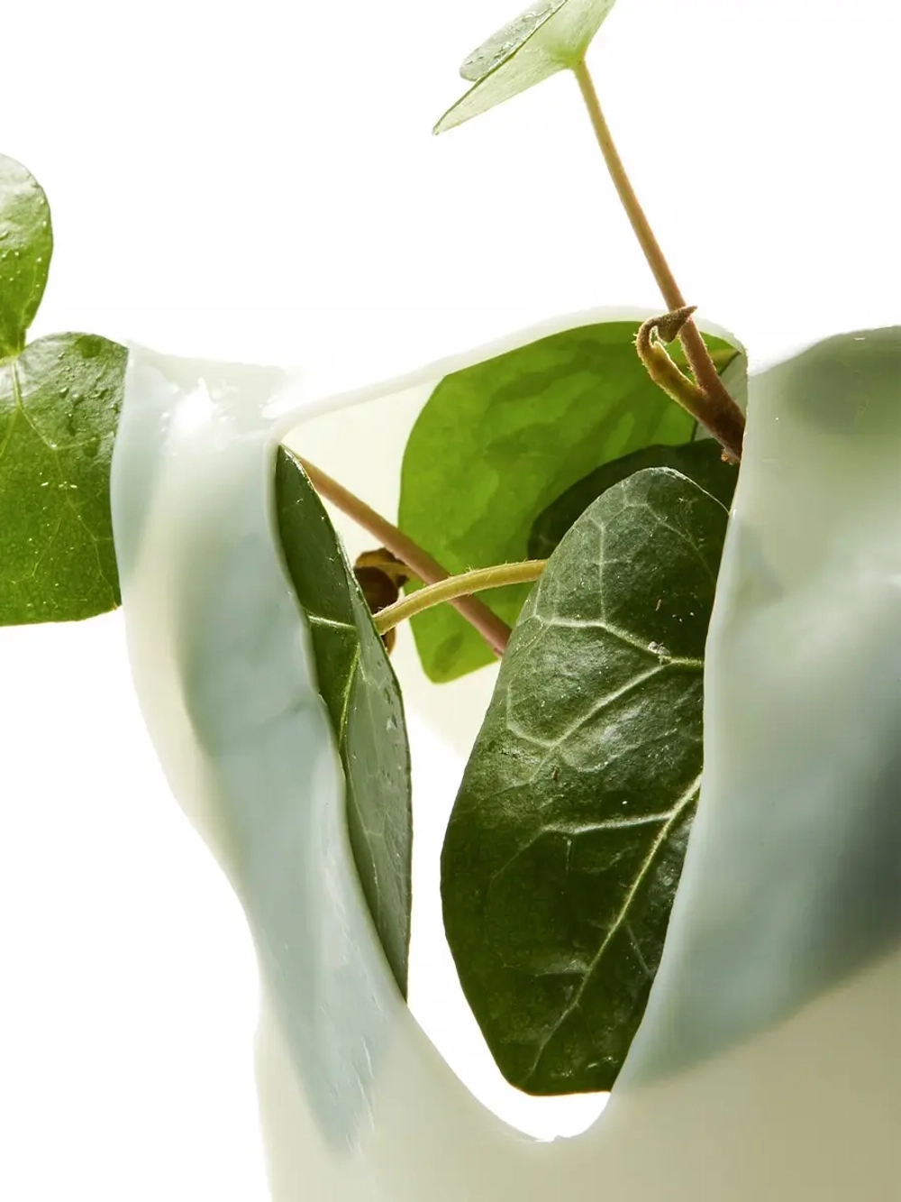 Anua Успокаивающая гидрогелевая маска с экстрактом хауттюйнии и коллагеном Heartleaf 70 Soothing Collagen Mask 38 гр х 4 шт