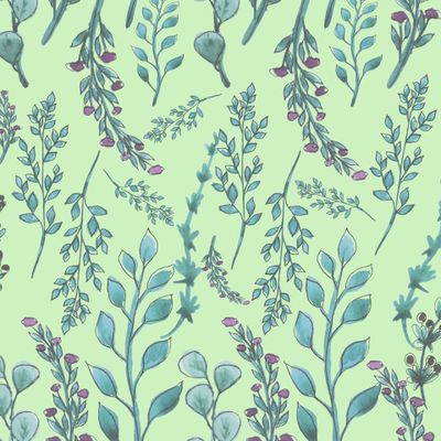 полевые травы