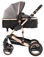 Коляска-трансформер 2в1 Wisesonle реверсивный блок