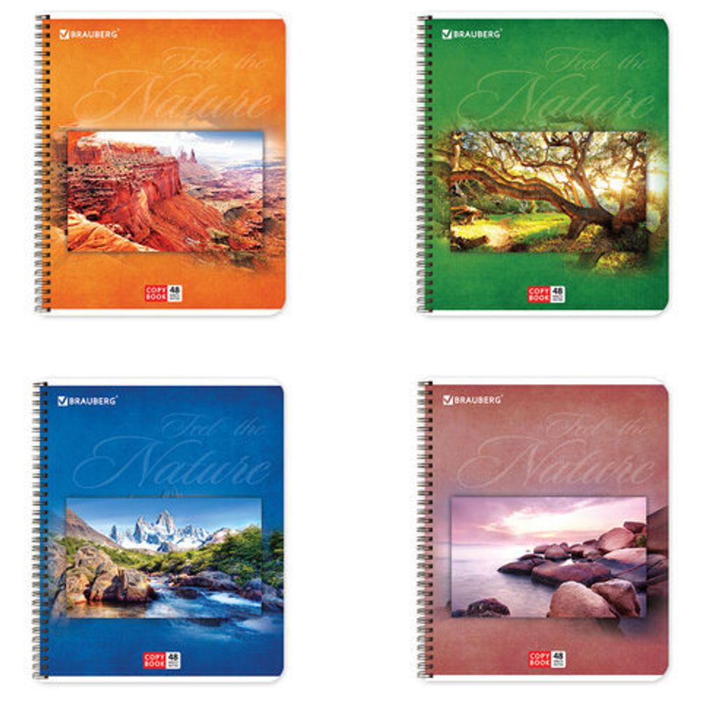 Тетрадь А5, 48 л., BRAUBERG ЭКО, гребень, клетка, обложка картон, ПРИРОДА, 401874, 4шт