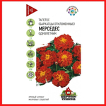 Бархатцы Мерседес откл. 0,3г УС Ц Гавриш