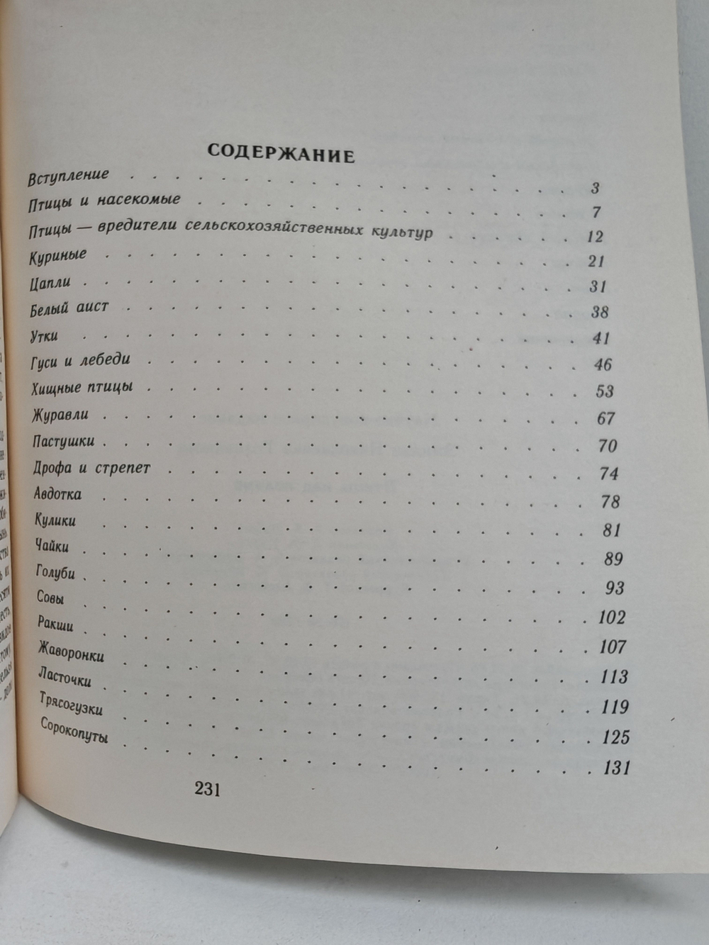 Птицы над полями