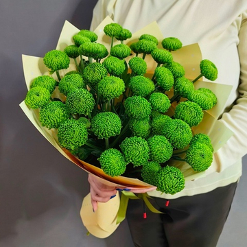 Букет из 5 кустовых хризантем сорта "Felling green"