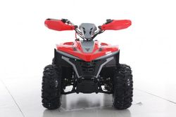 Квадроцикл детский, подростковый GreenCamel Гоби K90 (48V 750W R7 Дифференциал) Tao LUX