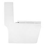 Унитаз-моноблок Azario RAYO 355х685х775 безободковый,с системой смыва Rimless, с быстросъемным сиденьем микролифт (AZ-6385)