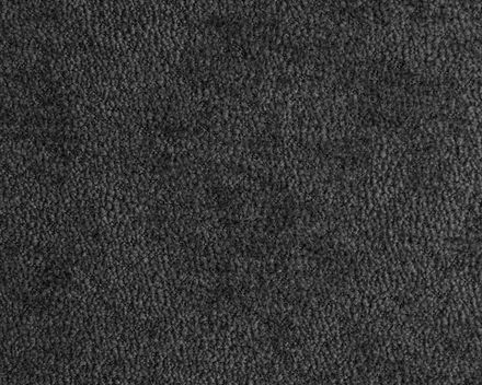 Коллекция Терри