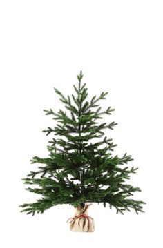 Искусственная ёлка Венгерская 90 см