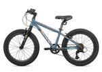 Велосипед 20'' Maxiscoo 3BIKE M Серый Матовый (2025)