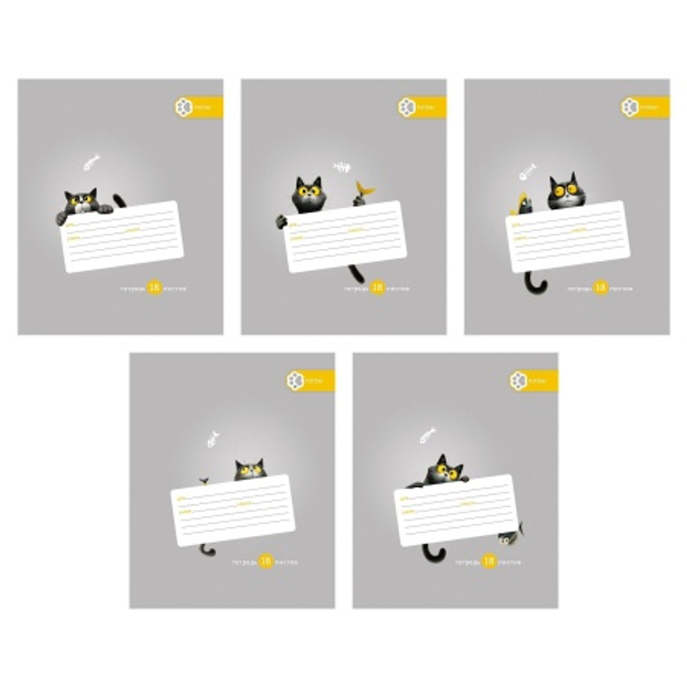 40c6784c3d35ac82d6035f3ad2f3077a