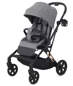 Детская прогулочная коляска Rant Ace Grey