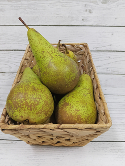 Груши Конференция Гигант