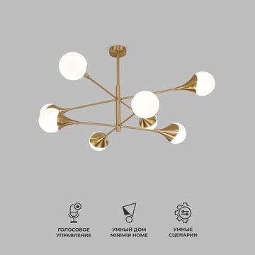 60168/8 / потолочный светильник / латунь Smart