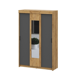 Шкаф-купе Вена ШК 101, Дуб золотой, Графит серый