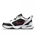 Кроссовки Nike Air Monarch 4