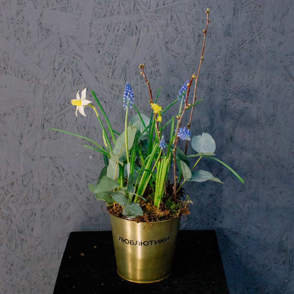 131. Весенняя романтичная композиция с луковичными мускари и нарциссами