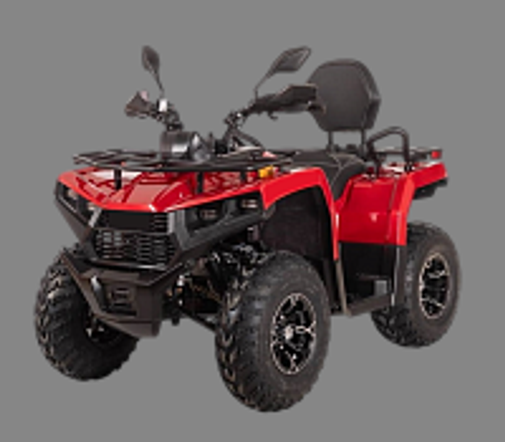 Квадроцикл Bizon YK250 BASIC CARB