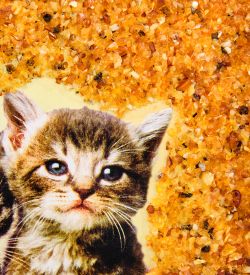 AMB-51/52 Картина «Котята» (с янтарной крошкой) дер.рамка 21х30