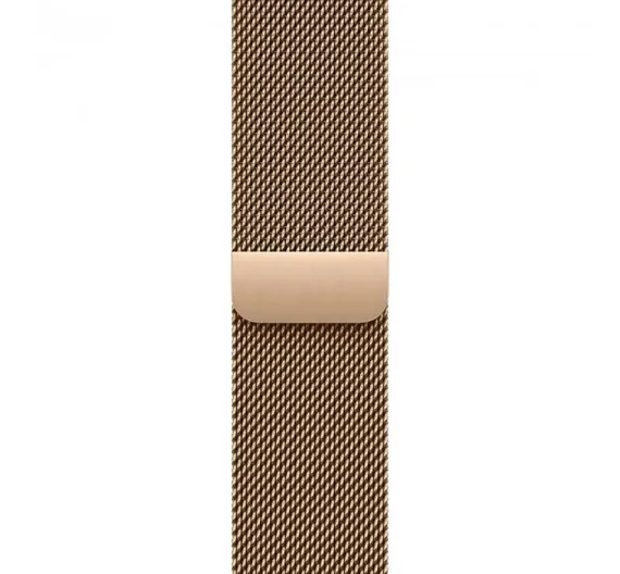 Часы Apple Watch Series 10, 42 мм, титан золотого цвета, миланский сетчатый браслет
