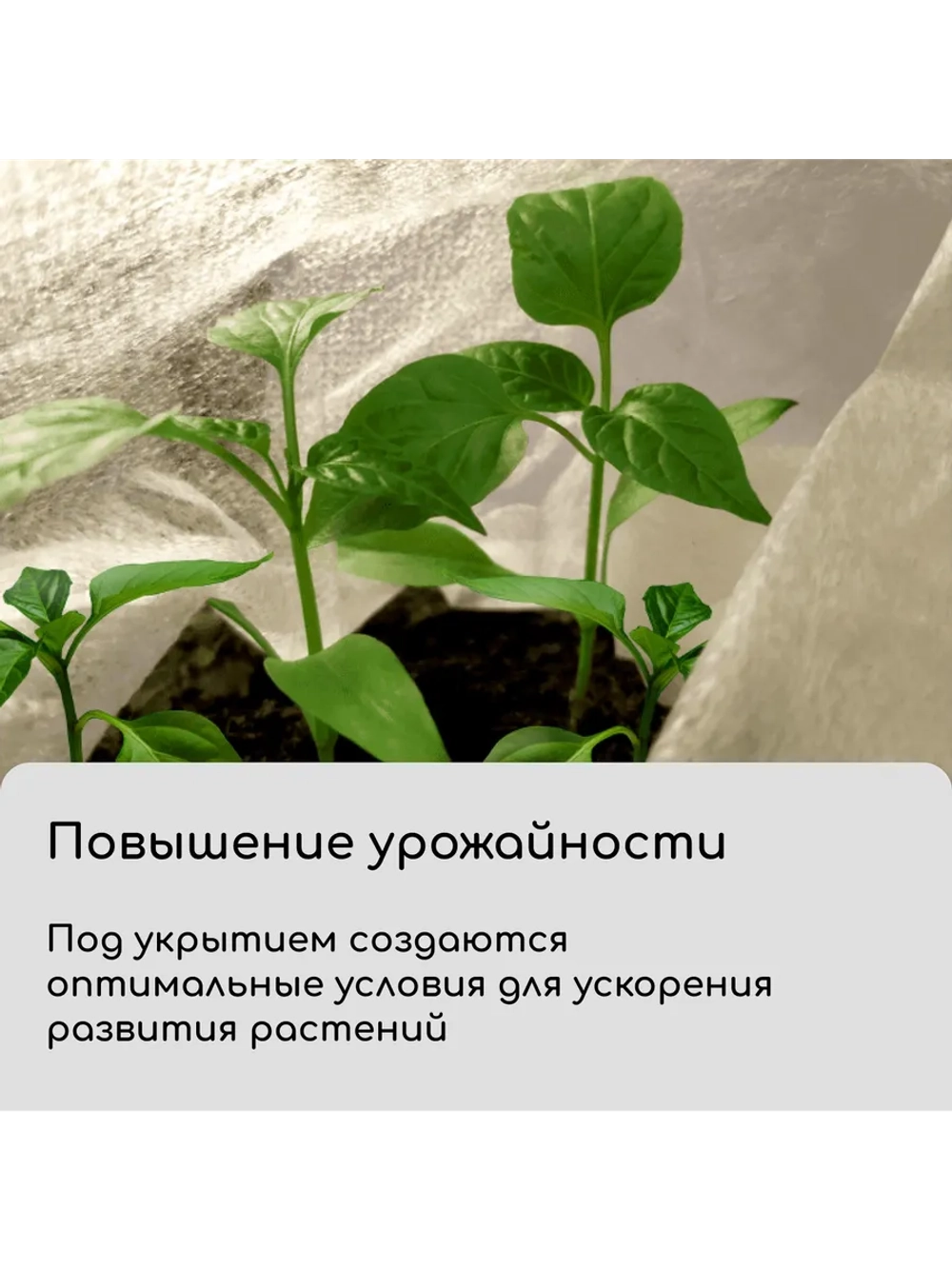 Укрывной материал спанбонд 42 белый