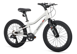Maxiscoo 3BIKE 20'' L (2025)