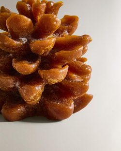 Zara Home - Ароматическая свеча pumpkin spice